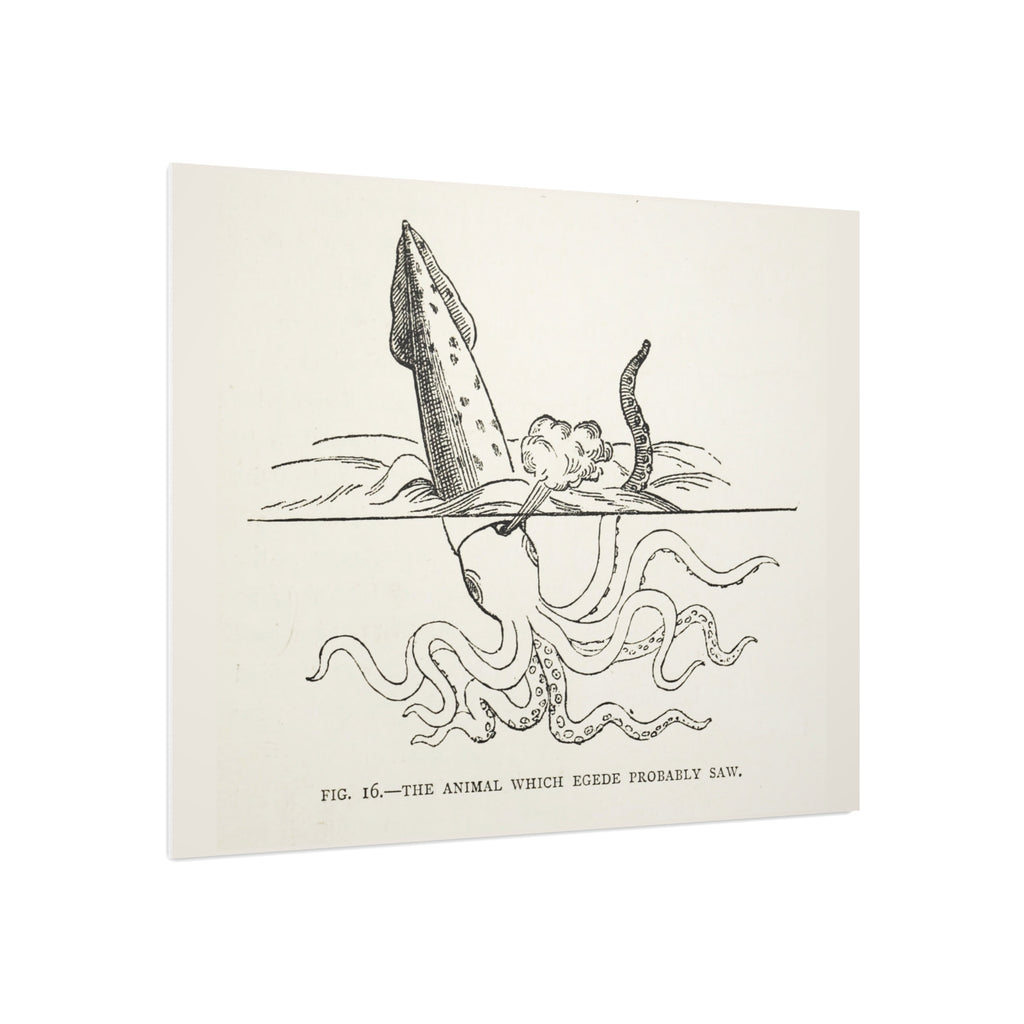 Foam Board — Vintage Squid Illustration Art Print