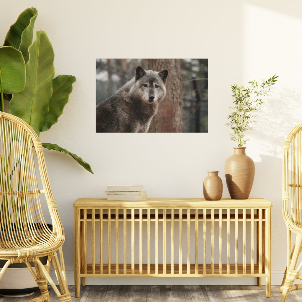 Wolf Portrait Foam Board - Rustic Wildlife Wall Art for Nature Lovers