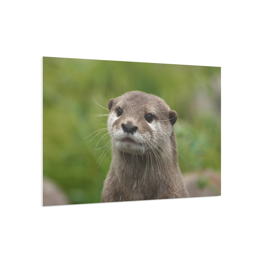 Otter Portrait Foam Board — Cute Wildlife Wall Art for Home or Nursery