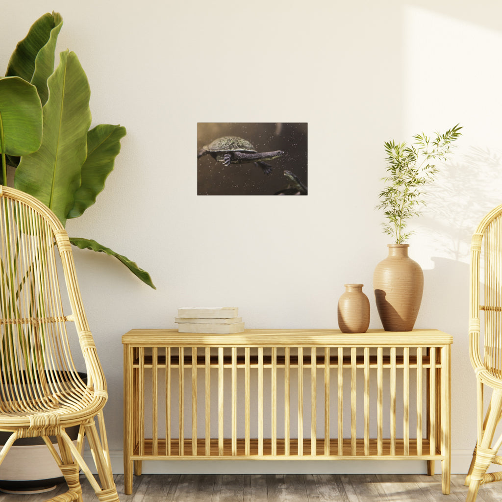 Turtle Foam Board Print – Underwater Slow Swimmer Wall Art