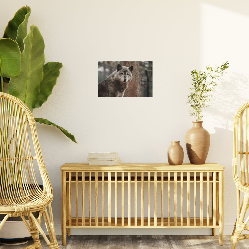 Wolf Portrait Foam Board - Rustic Wildlife Wall Art for Nature Lovers