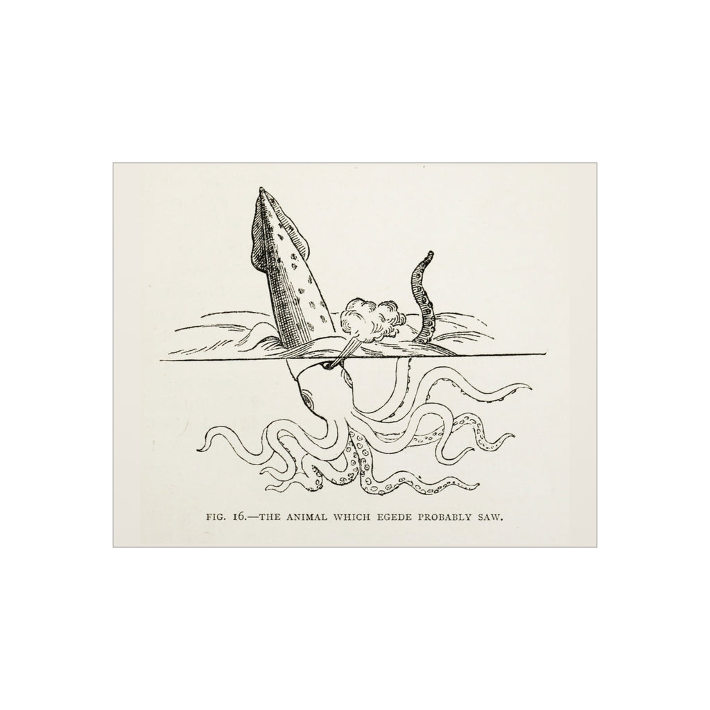 Foam Board — Vintage Squid Illustration Art Print