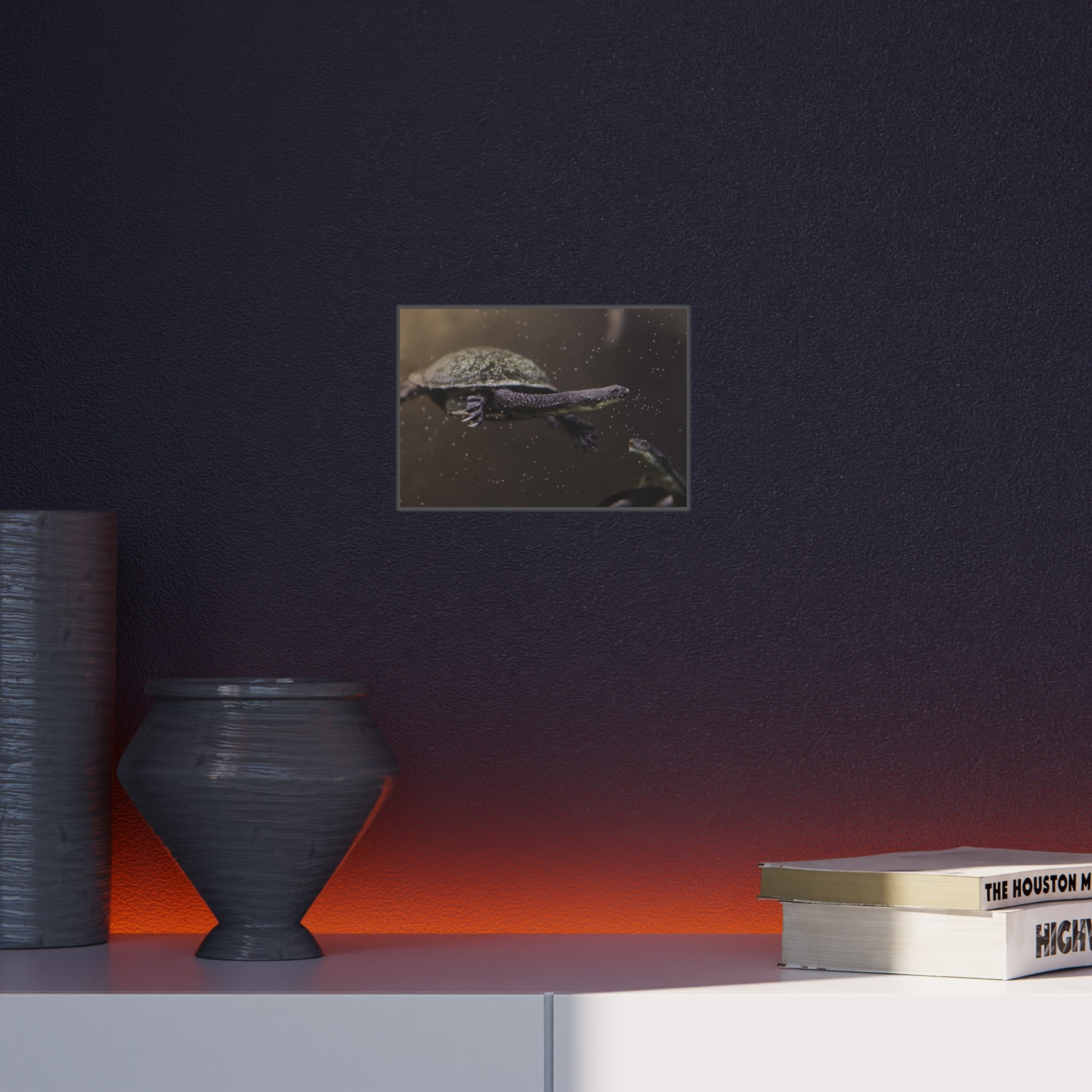 Turtle Foam Board Print – Underwater Slow Swimmer Wall Art