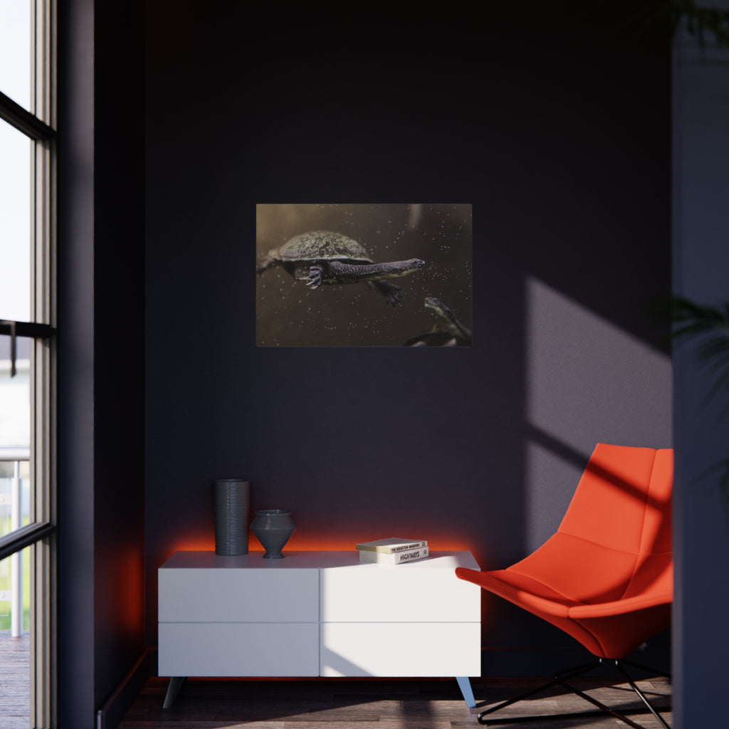 Turtle Foam Board Print – Underwater Slow Swimmer Wall Art