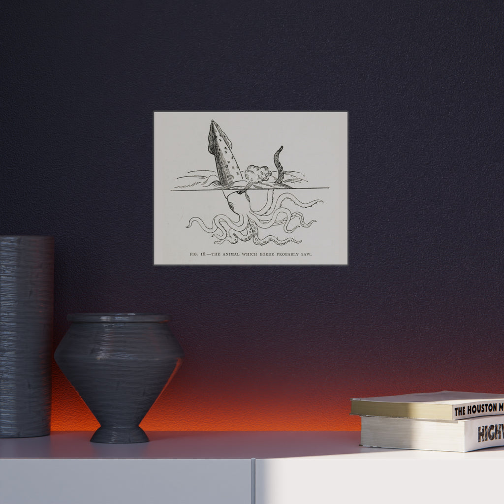 Foam Board — Vintage Squid Illustration Art Print
