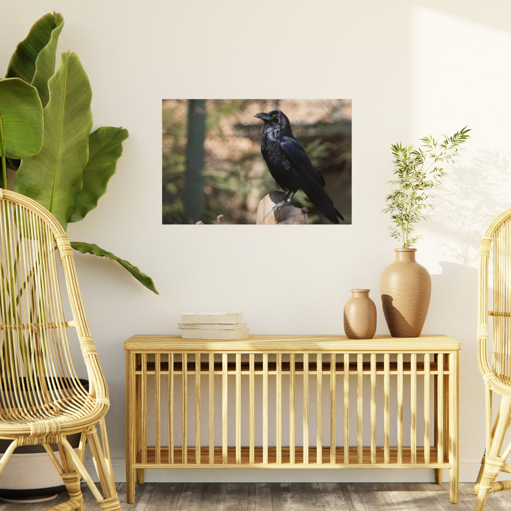 Raven Photo Foam Board – Moody Black Crow Wall Art