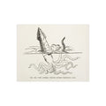 Foam Board — Vintage Squid Illustration Art Print