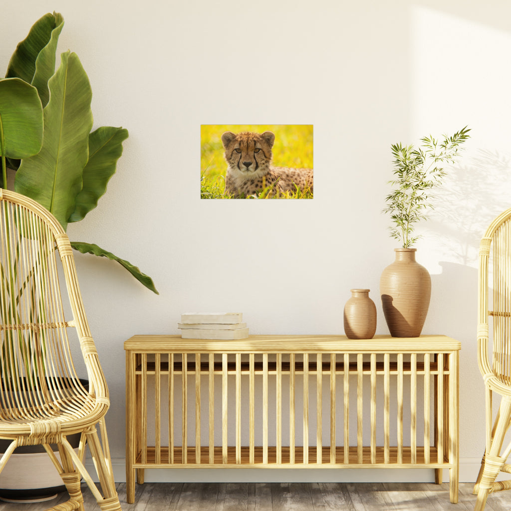 Cheetah Cub Foam Board Print — Wildlife Photography Wall Art