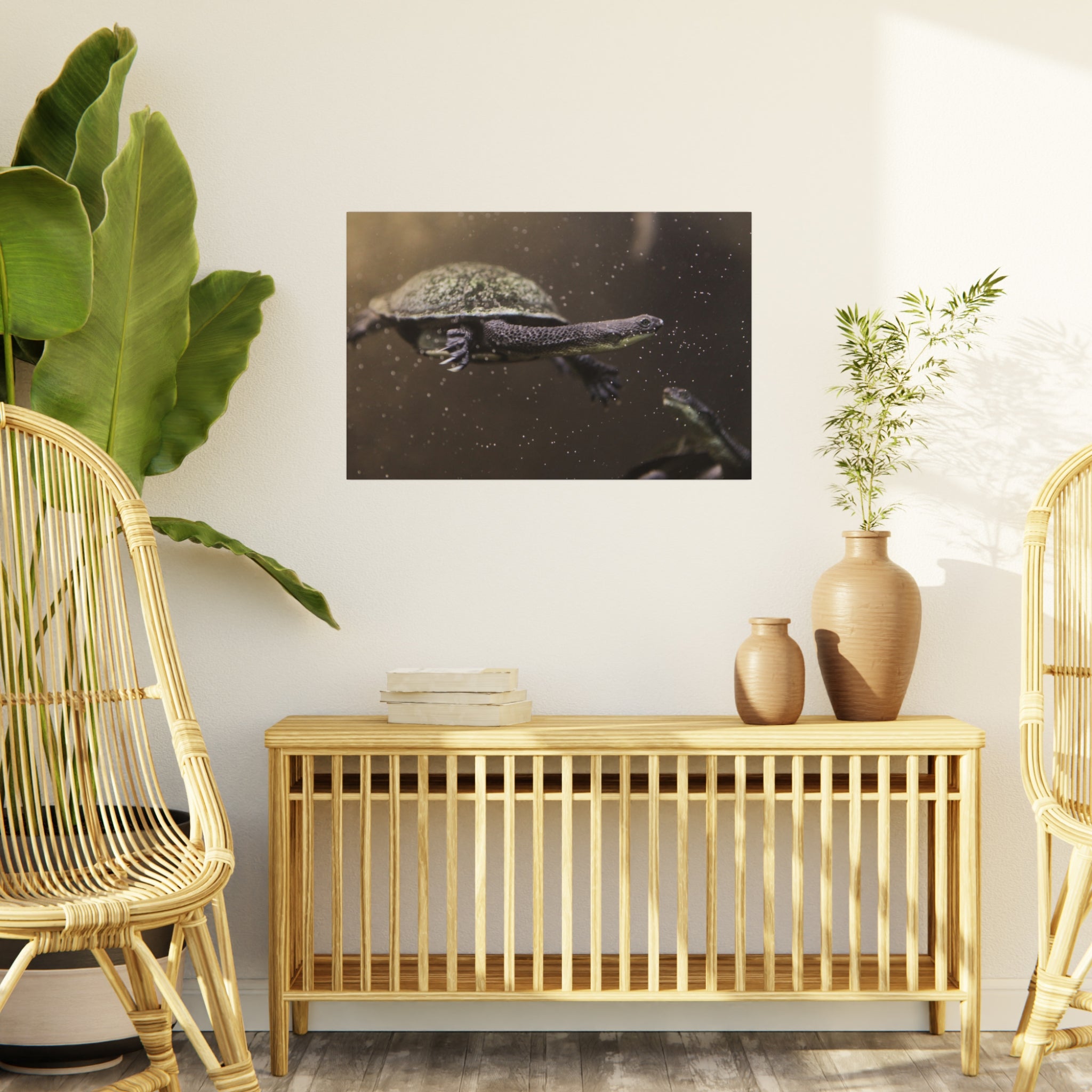 Turtle Foam Board Print – Underwater Slow Swimmer Wall Art