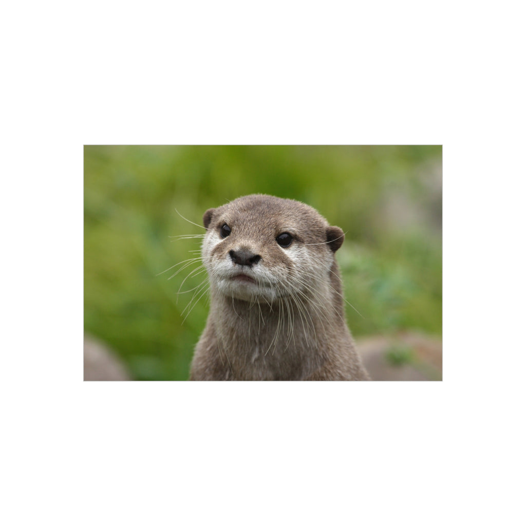 Otter Portrait Foam Board — Cute Wildlife Wall Art for Home or Nursery