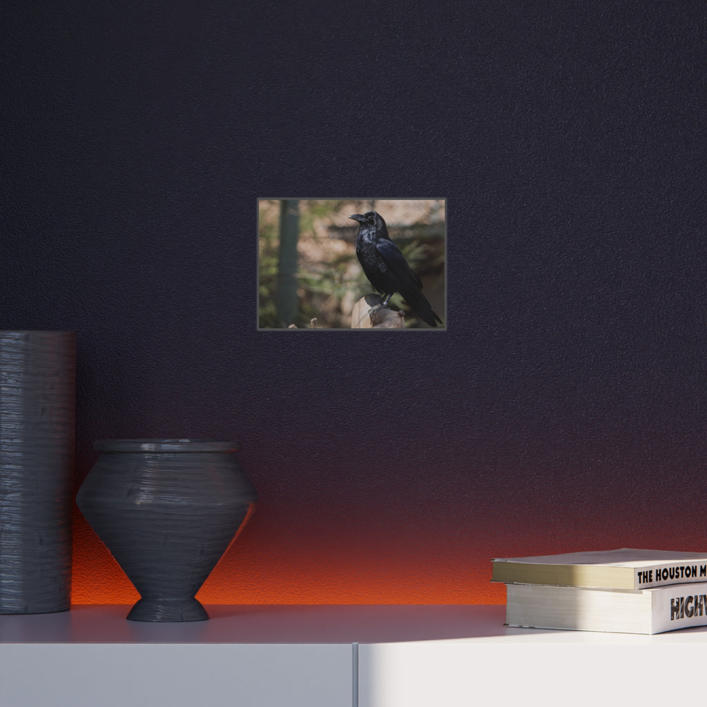 Raven Photo Foam Board – Moody Black Crow Wall Art