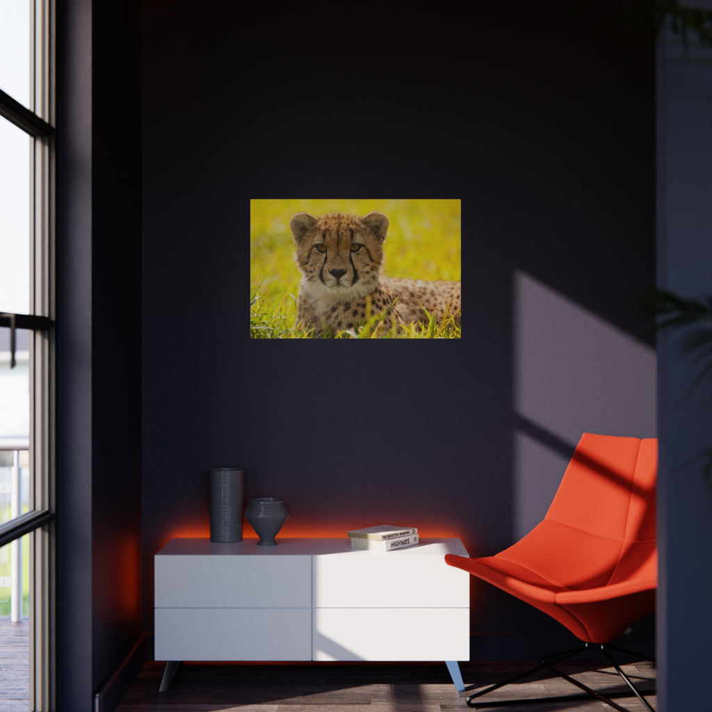 Cheetah Cub Foam Board Print — Wildlife Photography Wall Art
