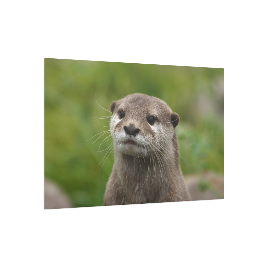 Otter Portrait Foam Board — Cute Wildlife Wall Art for Home or Nursery